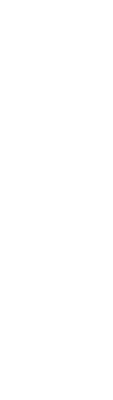 Digital-Marketing