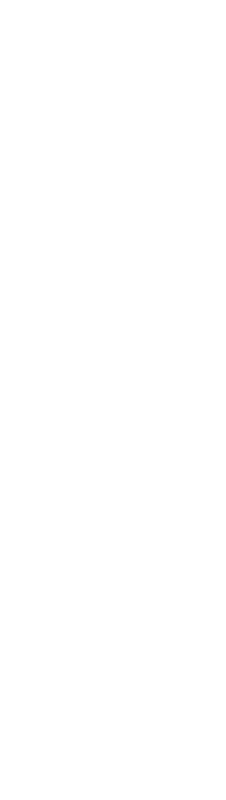 Web-Design